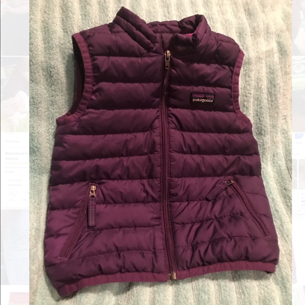 Patagonia toddler down sweater vest